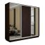 Шкаф-купе Экспресс 3-х дверный (Зеркало, ЛДСП)